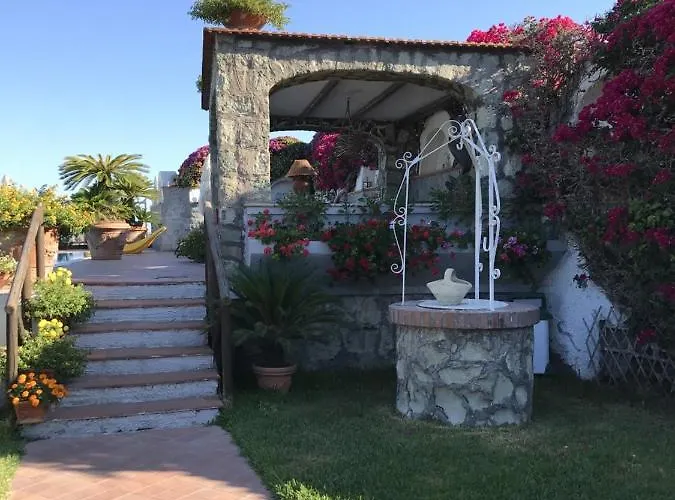 Dimorra Sun And Relax