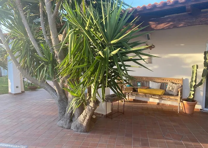 Dimorra Sun And Relax *