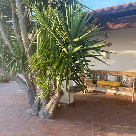 Dimorra Sun And Relax *